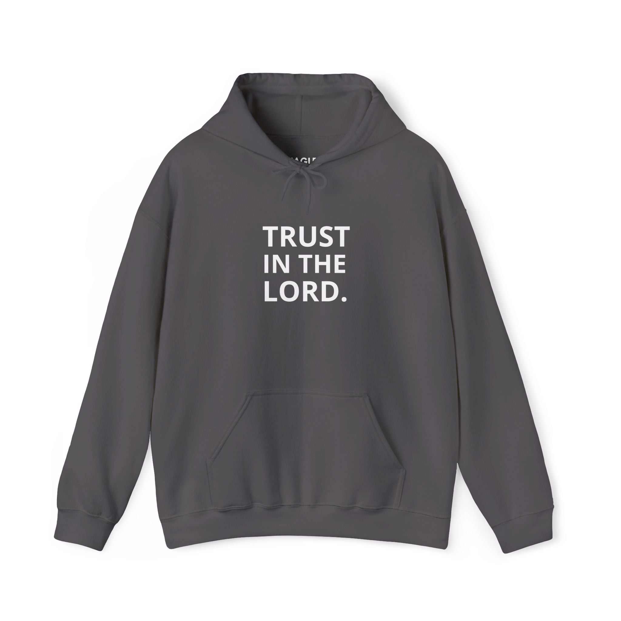 Gray Trust God hoodie with "Trust In The Lord" text in white, cotton-polyester blend, classic fit.